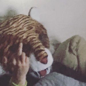 Meet your Posher, Mark